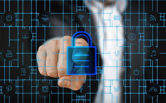 乐鱼体育入口-体育特许经营管理制度构建与案例研究，体育行业特有职业培训试点单位